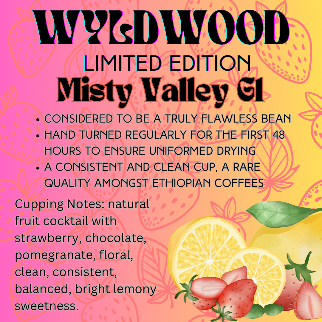 Misty Valley Yirgacheffe G1 - 8 oz