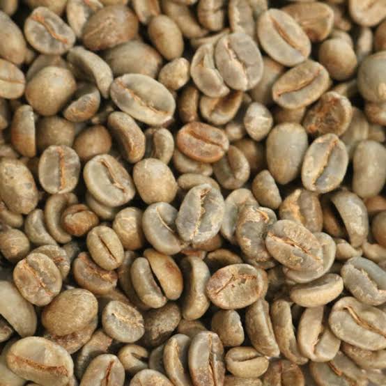 White Rabbit- 16 oz- Mélange Roast Level Dark