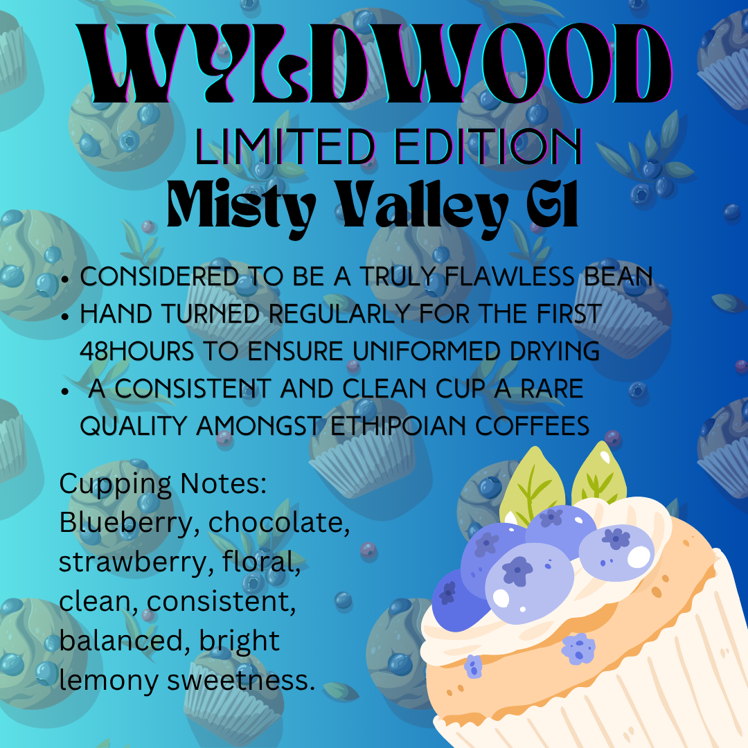 Misty Valley Yirgacheffe G1 - 8 oz
