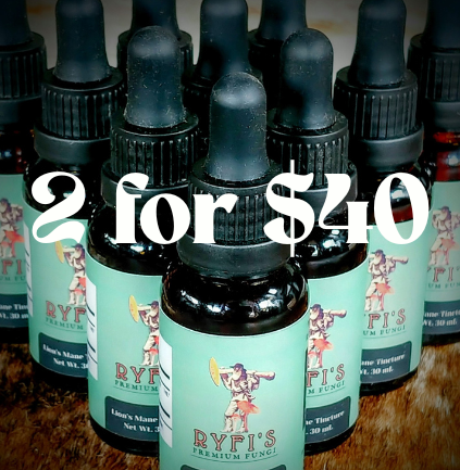 2 for $40 - Small Business Saturday SALE