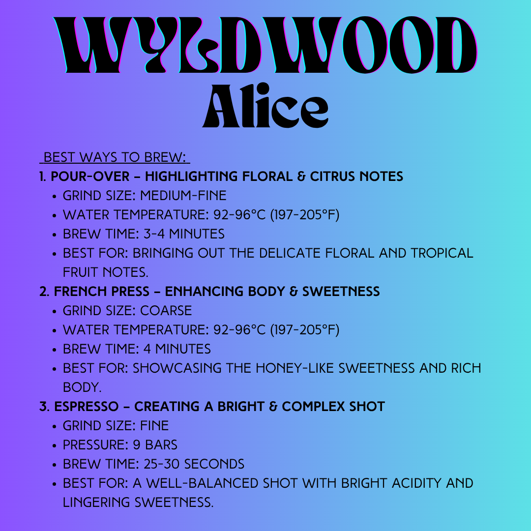 Alice - 16 oz