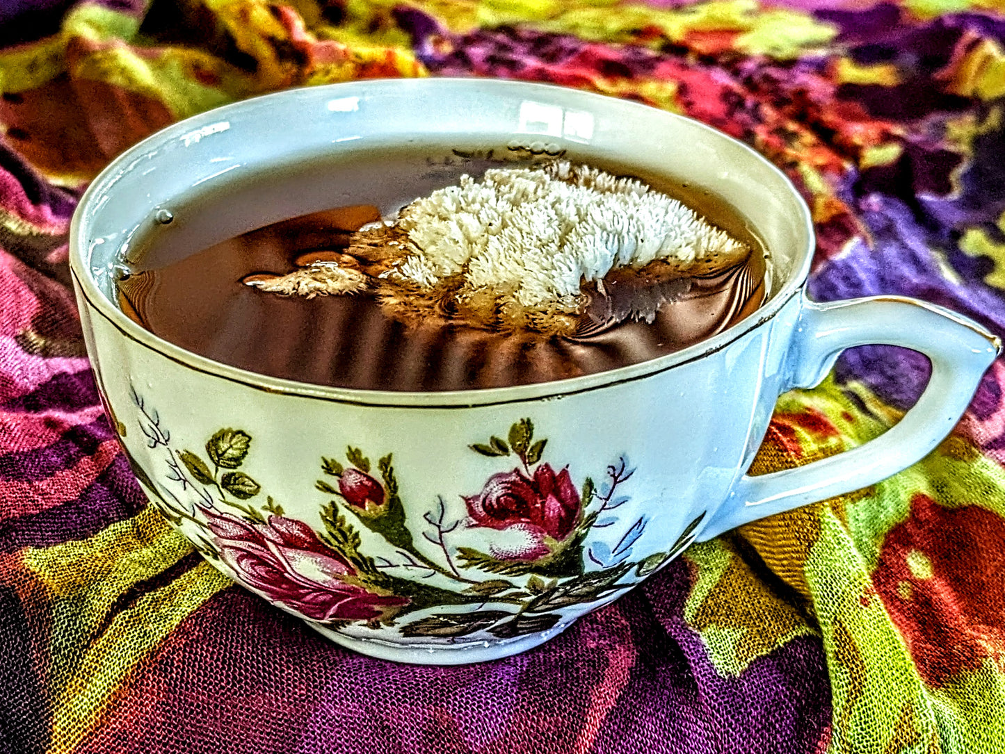 Lion's Roar Mushroom Tea