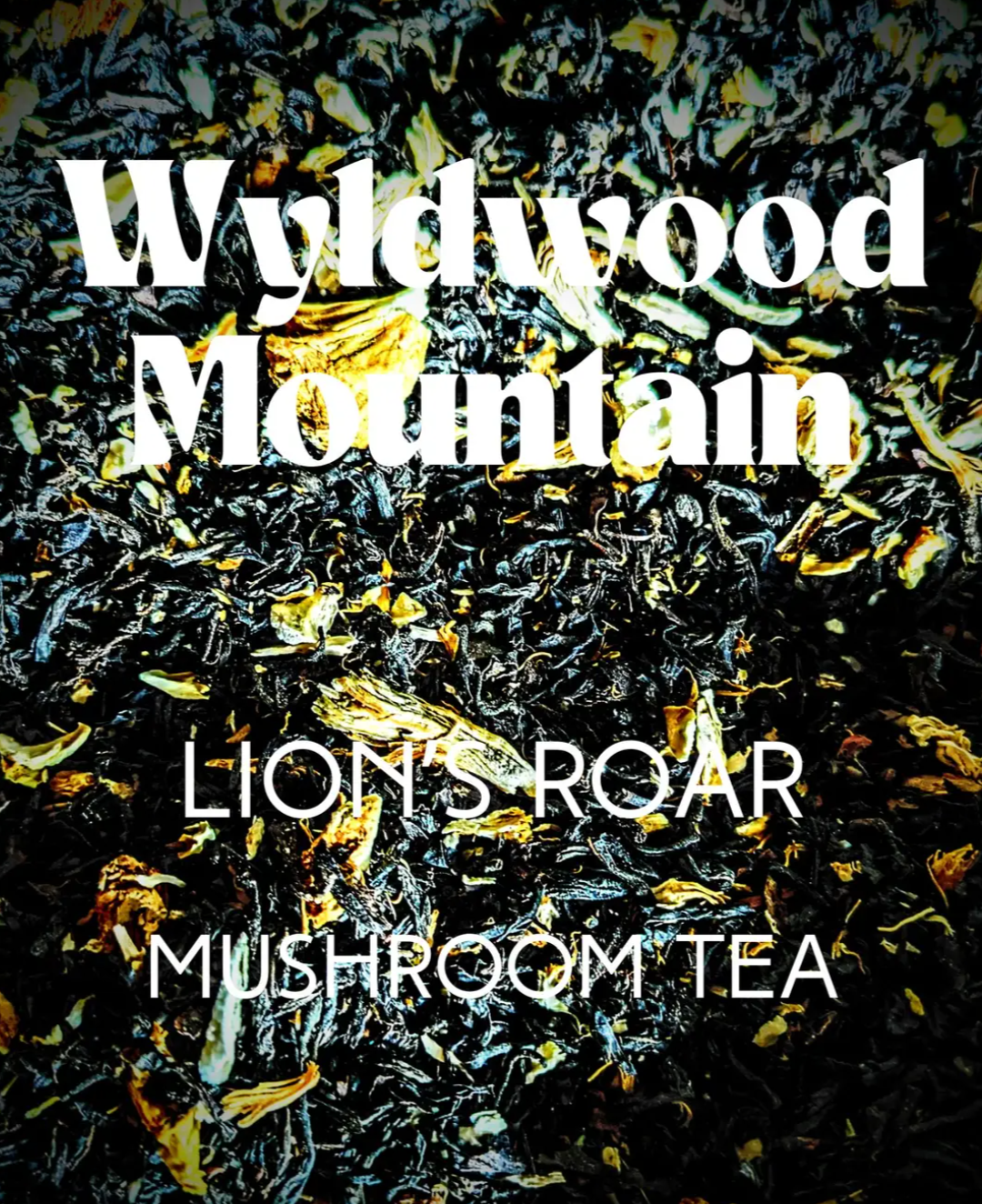 Lion's Roar Mushroom Tea