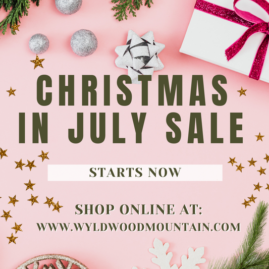 Lion's Mane tincture- 2 for $40 XMAS IN JULY Sale!!!!