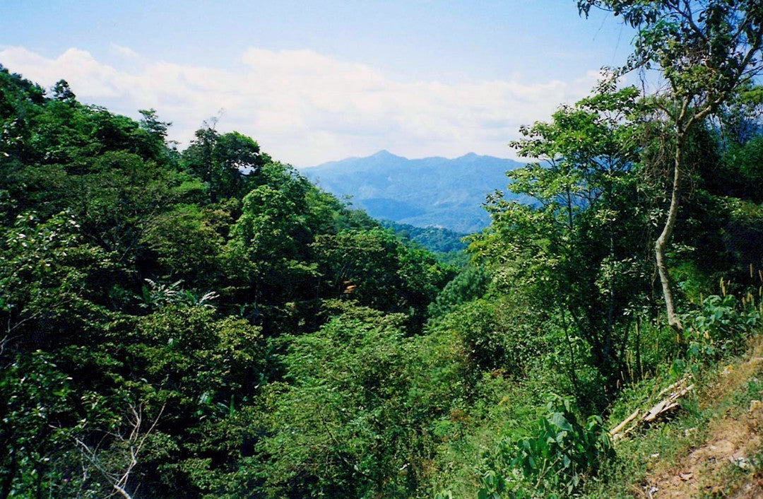 Finca La Eperanza G1 - 16 oz